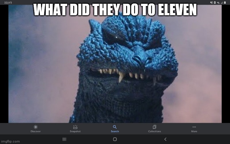 I have never seen such Dog Piss Before | WHAT DID THEY DO TO ELEVEN | image tagged in godzilla has never seen such dog piss before | made w/ Imgflip meme maker