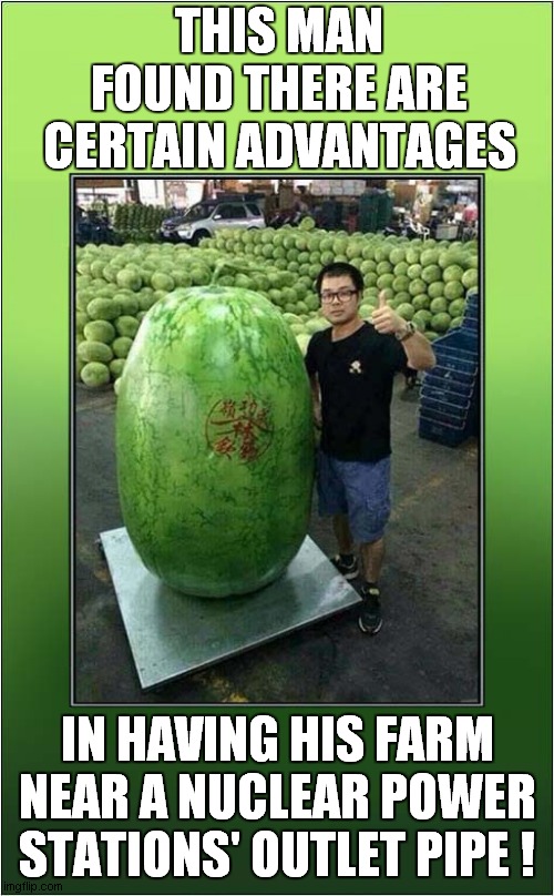 I'm Sure It'll Be Fine ! | THIS MAN FOUND THERE ARE CERTAIN ADVANTAGES; IN HAVING HIS FARM NEAR A NUCLEAR POWER STATIONS' OUTLET PIPE ! | image tagged in watermelon,nuclear power,radiation,it'll be fine,dark humour | made w/ Imgflip meme maker