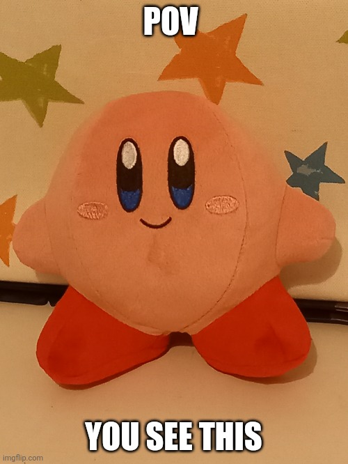 Its a kirby plush btw, but its alive and has a soul. | POV; YOU SEE THIS | image tagged in rp | made w/ Imgflip meme maker