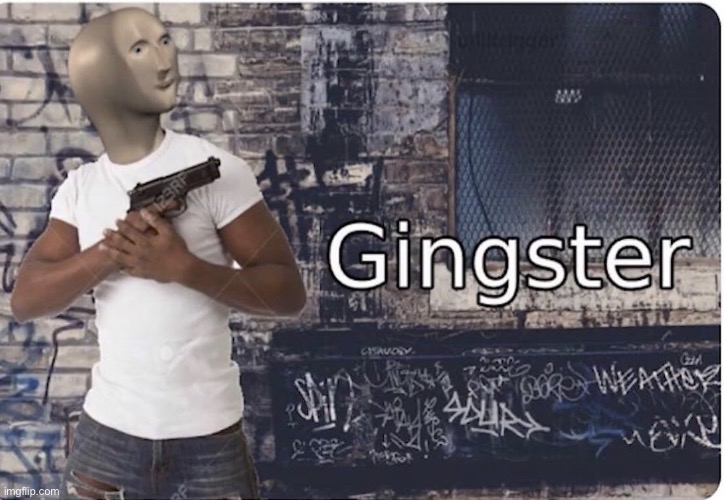 Ginster | image tagged in ginster | made w/ Imgflip meme maker
