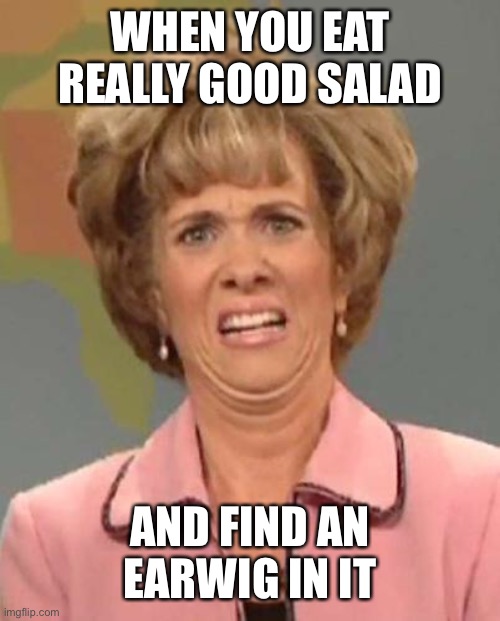 salad is good |  WHEN YOU EAT REALLY GOOD SALAD; AND FIND AN EARWIG IN IT | image tagged in disgusted kristin wiig,salad,bugs | made w/ Imgflip meme maker