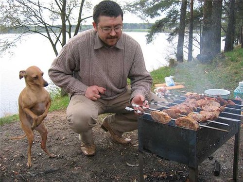 High Quality Dog helps barbeque Blank Meme Template