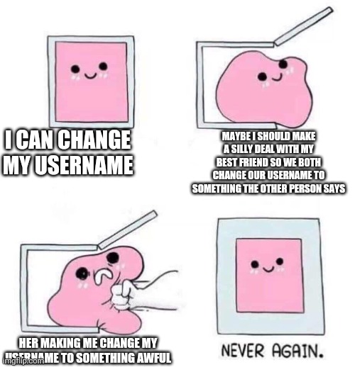 Never again | I CAN CHANGE MY USERNAME; MAYBE I SHOULD MAKE A SILLY DEAL WITH MY BEST FRIEND SO WE BOTH CHANGE OUR USERNAME TO SOMETHING THE OTHER PERSON SAYS; HER MAKING ME CHANGE MY USERNAME TO SOMETHING AWFUL | image tagged in never again | made w/ Imgflip meme maker