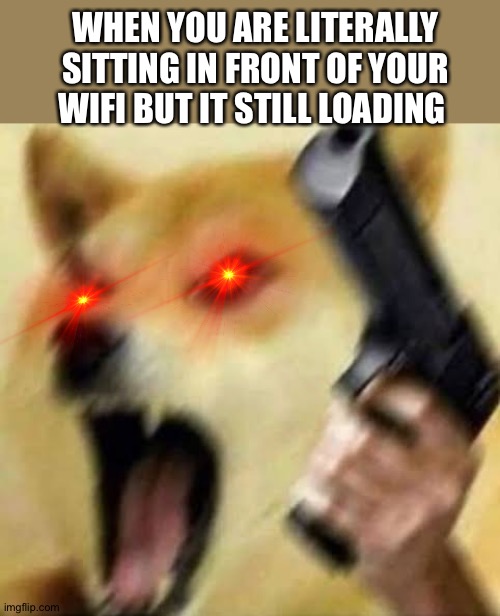 I hate it like argh.... | WHEN YOU ARE LITERALLY SITTING IN FRONT OF YOUR WIFI BUT IT STILL LOADING | image tagged in angry doge | made w/ Imgflip meme maker