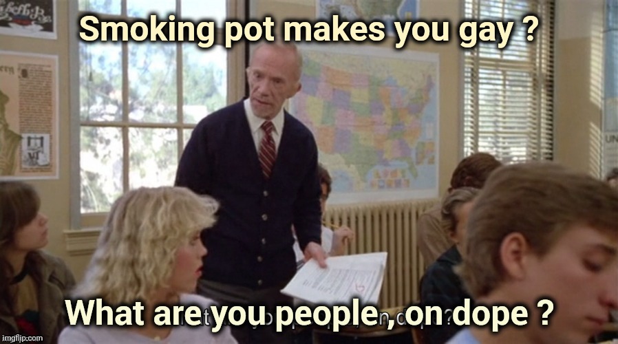 On Dope | Smoking pot makes you gay ? | image tagged in on dope | made w/ Imgflip meme maker