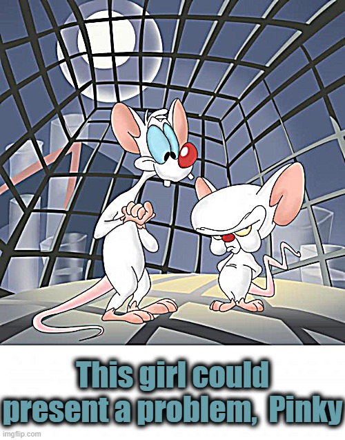 Pinky and the brain | This girl could present a problem,  Pinky | image tagged in pinky and the brain | made w/ Imgflip meme maker