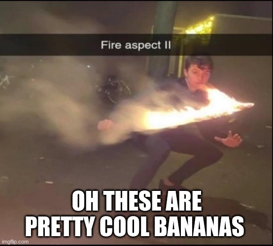 Fire aspect || | OH THESE ARE PRETTY COOL BANANAS | image tagged in fire aspect | made w/ Imgflip meme maker