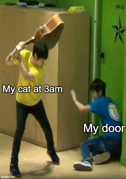 h e l p | My cat at 3am; My door | image tagged in memes,cats,help me | made w/ Imgflip meme maker