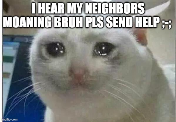 $%#@!$2$@1#47654321#$%64321 | I HEAR MY NEIGHBORS MOANING BRUH PLS SEND HELP ;-; | image tagged in crying cat | made w/ Imgflip meme maker