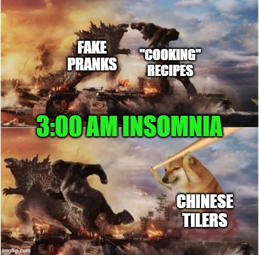 Underrated tilers | FAKE PRANKS; "COOKING" RECIPES; 3:00 AM INSOMNIA; CHINESE TILERS | image tagged in kong godzilla doge,pranks,cooking,chinese,tiler,insomnia | made w/ Imgflip meme maker