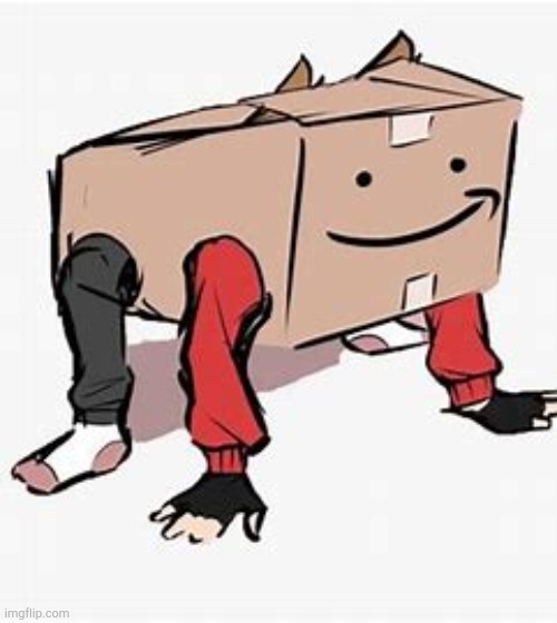 tord in a box | image tagged in tord in a box | made w/ Imgflip meme maker