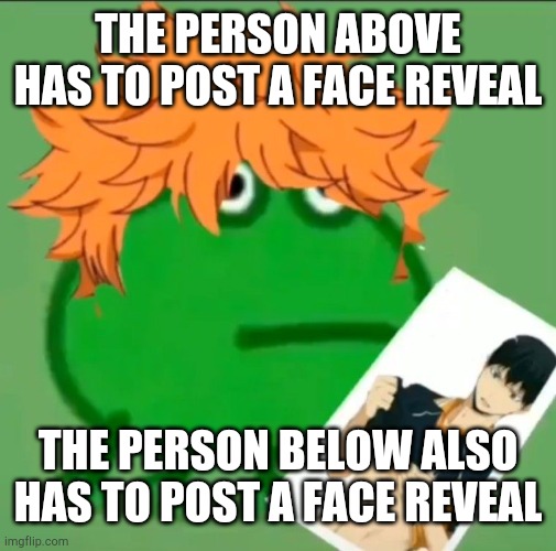 THE PERSON ABOVE HAS TO POST A FACE REVEAL; THE PERSON BELOW ALSO HAS TO POST A FACE REVEAL | made w/ Imgflip meme maker