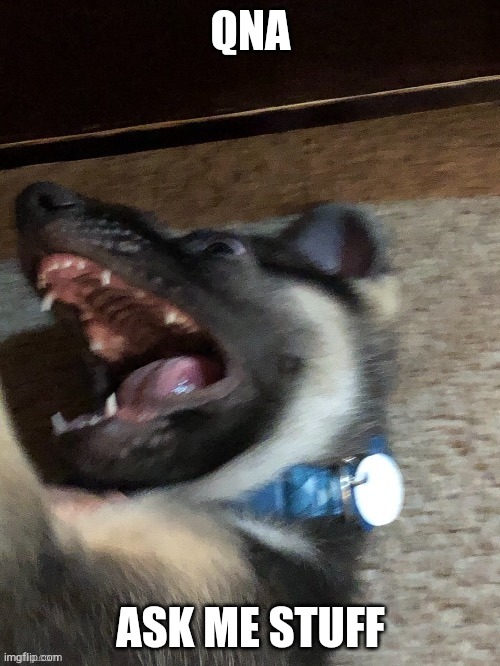 QNA; ASK ME STUFF | image tagged in e | made w/ Imgflip meme maker