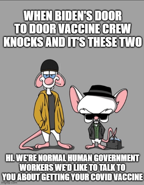 Knock Knock | WHEN BIDEN'S DOOR TO DOOR VACCINE CREW KNOCKS AND IT'S THESE TWO; HI. WE'RE NORMAL HUMAN GOVERNMENT WORKERS WE'D LIKE TO TALK TO YOU ABOUT GETTING YOUR COVID VACCINE | image tagged in pinky and the brain,covid19,vaccine,government,biden | made w/ Imgflip meme maker