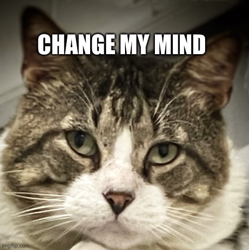 Cat | CHANGE MY MIND | image tagged in todd | made w/ Imgflip meme maker