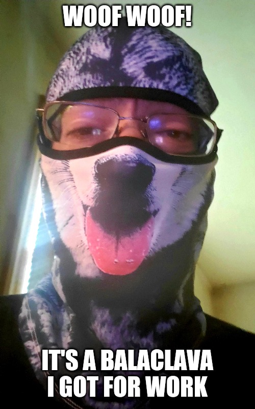 WOOF WOOF! IT'S A BALACLAVA I GOT FOR WORK | image tagged in dogs,masks | made w/ Imgflip meme maker