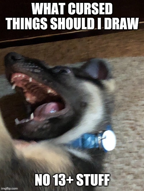 WHAT CURSED THINGS SHOULD I DRAW; NO 13+ STUFF | image tagged in e | made w/ Imgflip meme maker
