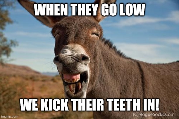 Donkey Jackass Braying | WHEN THEY GO LOW WE KICK THEIR TEETH IN! | image tagged in donkey jackass braying | made w/ Imgflip meme maker