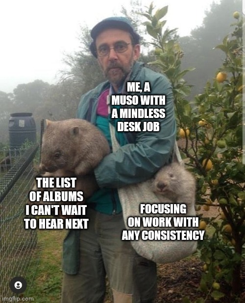 Muso Wombat of Choice |  ME, A MUSO WITH A MINDLESS DESK JOB; THE LIST OF ALBUMS I CAN'T WAIT TO HEAR NEXT; FOCUSING ON WORK WITH ANY CONSISTENCY | image tagged in music,music meme,muso,album,wombat | made w/ Imgflip meme maker