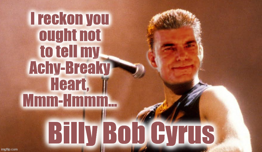 Billy Bob Cyrus | I reckon you
ought not
to tell my
Achy-Breaky
Heart,
Mmm-Hmmm... Billy Bob Cyrus | image tagged in billy ray,billy bob,thornton,cyrus,achy-breaky | made w/ Imgflip meme maker