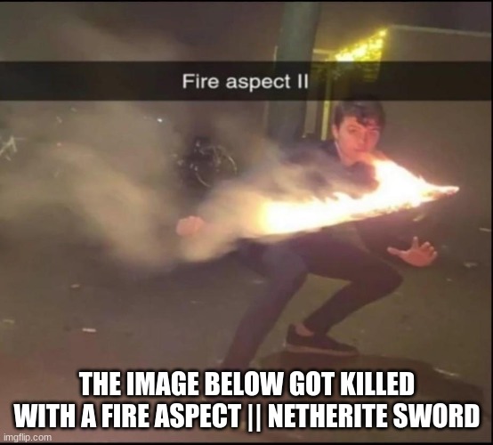 Fire aspect || | THE IMAGE BELOW GOT KILLED WITH A FIRE ASPECT || NETHERITE SWORD | image tagged in fire aspect | made w/ Imgflip meme maker