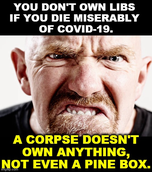 How far will you go to spite libs? | YOU DON'T OWN LIBS 
IF YOU DIE MISERABLY 
OF COVID-19. A CORPSE DOESN'T OWN ANYTHING, NOT EVEN A PINE BOX. | image tagged in ugly old republican guy angry at nothing all the time,covid-19,anti vax,cancelled | made w/ Imgflip meme maker