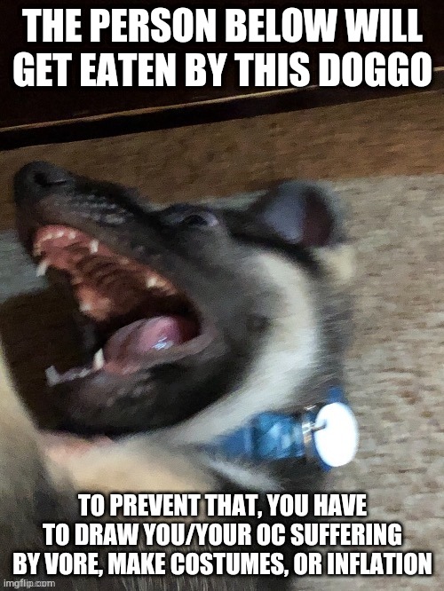 THE PERSON BELOW WILL GET EATEN BY THIS DOGGO; TO PREVENT THAT, YOU HAVE TO DRAW YOU/YOUR OC SUFFERING BY VORE, MAKE COSTUMES, OR INFLATION | image tagged in e | made w/ Imgflip meme maker