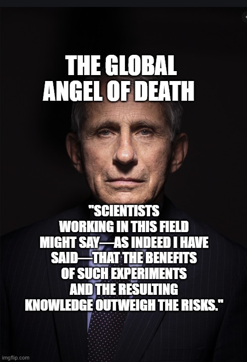 Fauci | THE GLOBAL ANGEL OF DEATH; "SCIENTISTS WORKING IN THIS FIELD MIGHT SAY—AS INDEED I HAVE SAID—THAT THE BENEFITS OF SUCH EXPERIMENTS AND THE RESULTING KNOWLEDGE OUTWEIGH THE RISKS." | image tagged in fauci | made w/ Imgflip meme maker