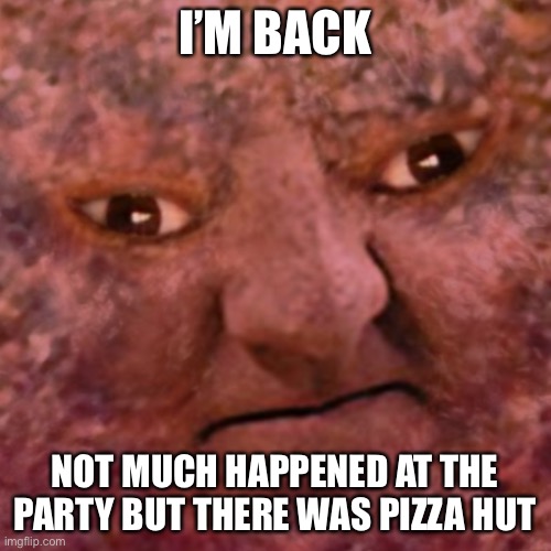 sheesh | I’M BACK; NOT MUCH HAPPENED AT THE PARTY BUT THERE WAS PIZZA HUT | image tagged in the meatball man | made w/ Imgflip meme maker