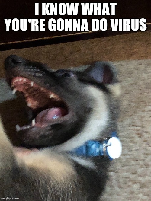 I KNOW WHAT YOU'RE GONNA DO VIRUS | image tagged in e | made w/ Imgflip meme maker