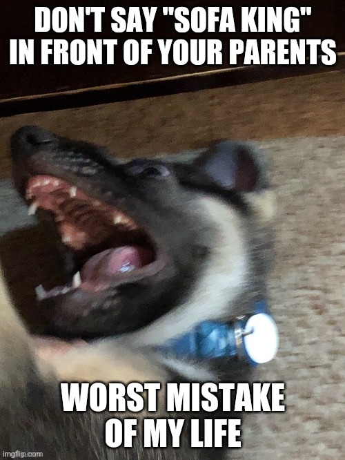 DON'T SAY "SOFA KING" IN FRONT OF YOUR PARENTS; WORST MISTAKE OF MY LIFE | image tagged in e | made w/ Imgflip meme maker