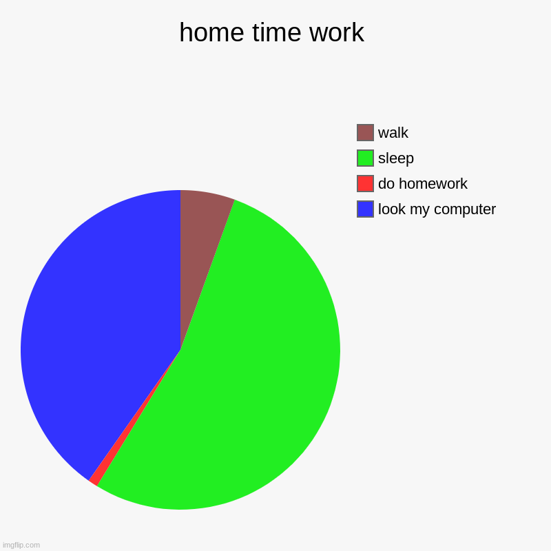 home time work | look my computer, do homework, sleep, walk | image tagged in charts,pie charts,nothing,walk,homework | made w/ Imgflip chart maker