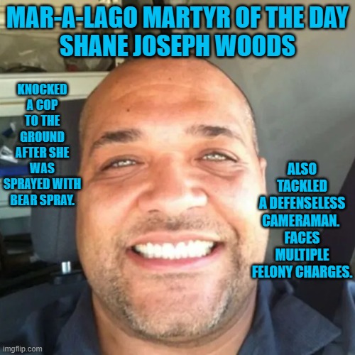 This big, strong "hero," attacks disabled women and tackles men from behind. | MAR-A-LAGO MARTYR OF THE DAY
SHANE JOSEPH WOODS; ALSO TACKLED A DEFENSELESS CAMERAMAN.  FACES MULTIPLE FELONY CHARGES. KNOCKED A COP TO THE GROUND AFTER SHE WAS SPRAYED WITH BEAR SPRAY. | image tagged in politics | made w/ Imgflip meme maker