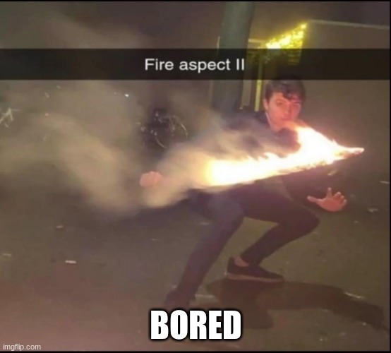 Fire aspect || | BORED | image tagged in fire aspect | made w/ Imgflip meme maker