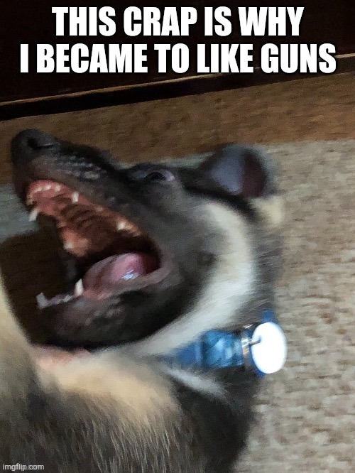 THIS CRAP IS WHY I BECAME TO LIKE GUNS | image tagged in e | made w/ Imgflip meme maker