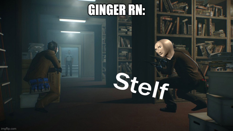 Stealth | GINGER RN: | image tagged in stealth | made w/ Imgflip meme maker