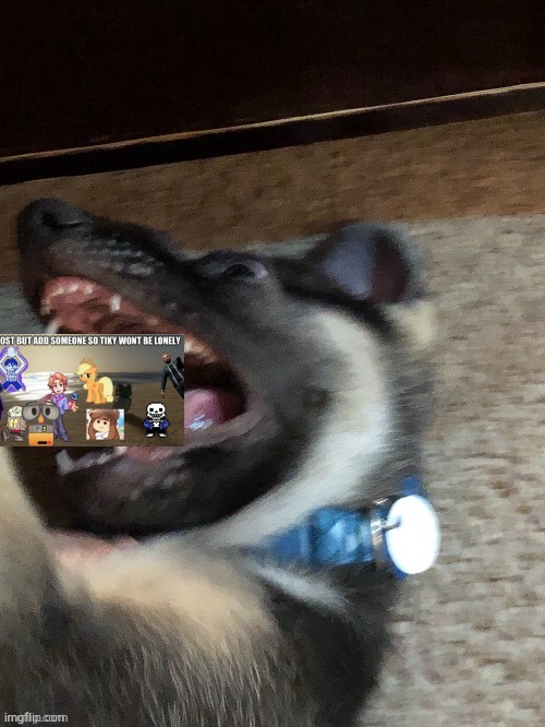 He eat tiky and friends | image tagged in e | made w/ Imgflip meme maker