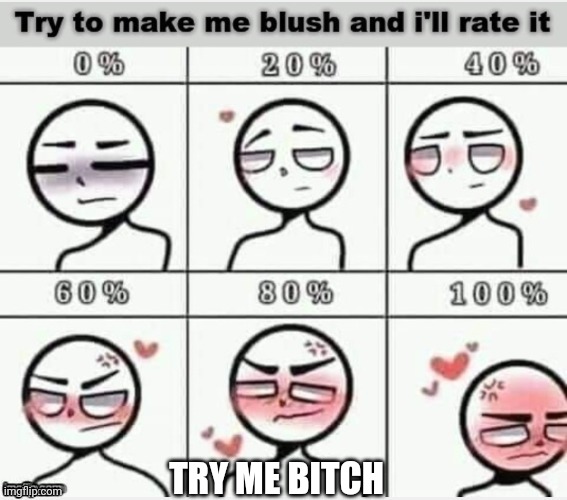 Try me | TRY ME BITCH | image tagged in blush | made w/ Imgflip meme maker