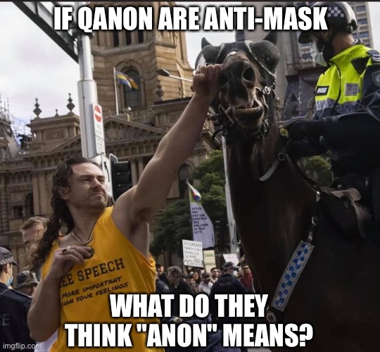 Taking the "anon" out of Qanon | IF QANON ARE ANTI-MASK; WHAT DO THEY THINK "ANON" MEANS? | image tagged in moron punches horse | made w/ Imgflip meme maker