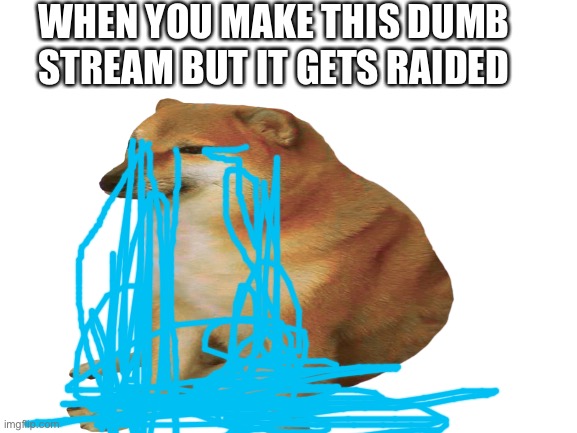 Are you going to cry Blaziken haters | WHEN YOU MAKE THIS DUMB STREAM BUT IT GETS RAIDED | image tagged in crying,cheems | made w/ Imgflip meme maker