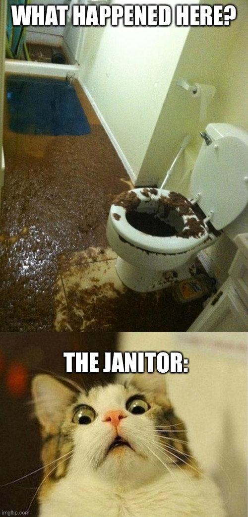 What happened here? |  WHAT HAPPENED HERE? THE JANITOR: | image tagged in poop | made w/ Imgflip meme maker