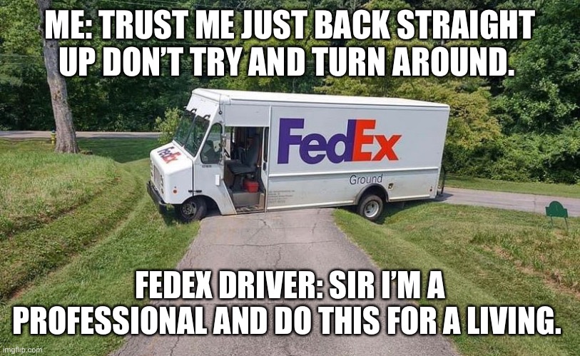 What do I know | ME: TRUST ME JUST BACK STRAIGHT UP DON’T TRY AND TURN AROUND. FEDEX DRIVER: SIR I’M A PROFESSIONAL AND DO THIS FOR A LIVING. | image tagged in wtf,are you kidding me,dumbass,fedex,what did you say | made w/ Imgflip meme maker