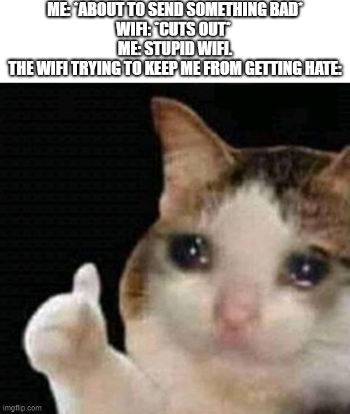 sad thumbs up cat | ME: *ABOUT TO SEND SOMETHING BAD*
WIFI: *CUTS OUT* 
ME: STUPID WIFI.
THE WIFI TRYING TO KEEP ME FROM GETTING HATE: | image tagged in sad thumbs up cat,funny,memes,cat,scared cat,wifi | made w/ Imgflip meme maker