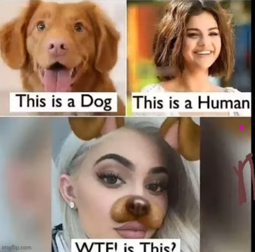 Snapchat memes | image tagged in funny memes,funny,snapchat | made w/ Imgflip meme maker