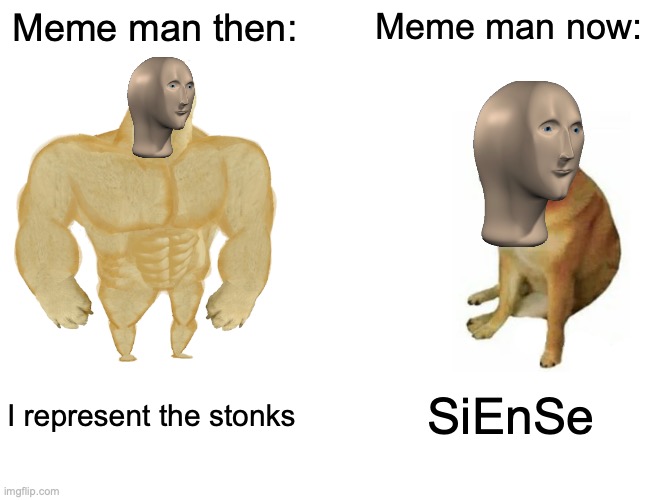 Im back | Meme man then:; Meme man now:; I represent the stonks; SiEnSe | image tagged in memes,buff doge vs cheems | made w/ Imgflip meme maker