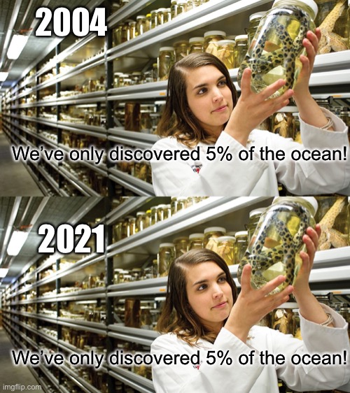 Stop being lazy and actually explore the ocean for once, people! | 2004; We’ve only discovered 5% of the ocean! 2021; We’ve only discovered 5% of the ocean! | image tagged in funny,memes,ocean | made w/ Imgflip meme maker