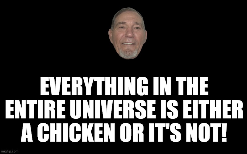 words of wisdom | EVERYTHING IN THE ENTIRE UNIVERSE IS EITHER A CHICKEN OR IT'S NOT! | image tagged in black screen | made w/ Imgflip meme maker
