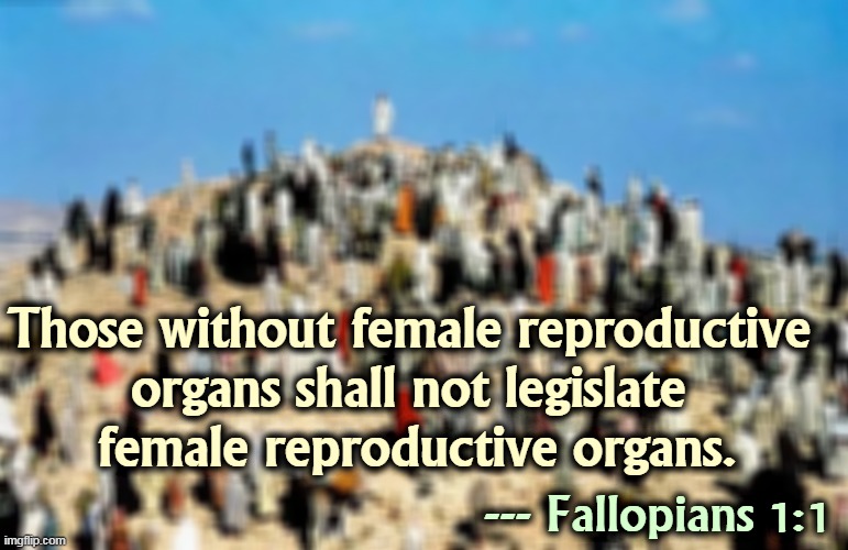 Words to live by. | Those without female reproductive 
organs shall not legislate 
female reproductive organs. --- Fallopians 1:1 | image tagged in womens rights,jesus | made w/ Imgflip meme maker