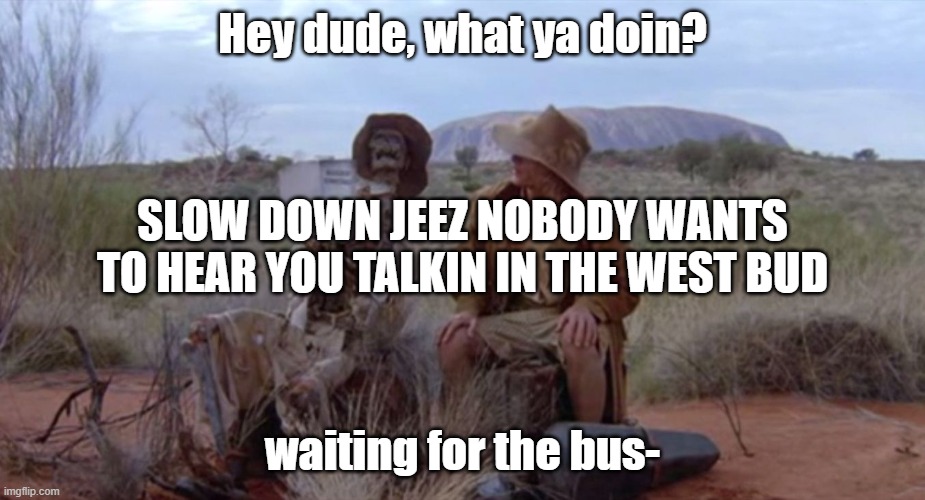 Man this guy that asks the other person is racist wow. |  Hey dude, what ya doin? SLOW DOWN JEEZ NOBODY WANTS TO HEAR YOU TALKIN IN THE WEST BUD; waiting for the bus- | image tagged in waiting for bus | made w/ Imgflip meme maker