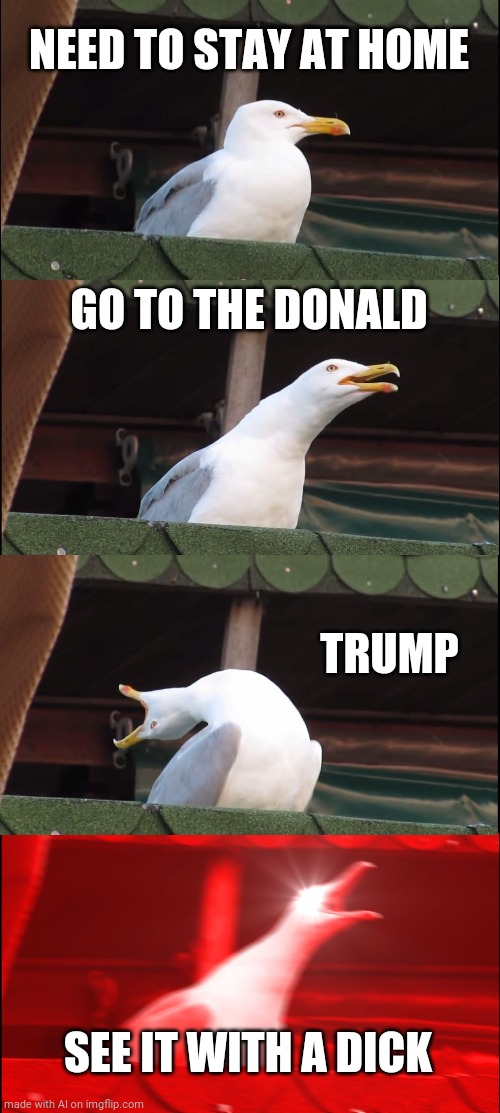 Tf | NEED TO STAY AT HOME; GO TO THE DONALD; TRUMP; SEE IT WITH A DICK | image tagged in memes,inhaling seagull | made w/ Imgflip meme maker